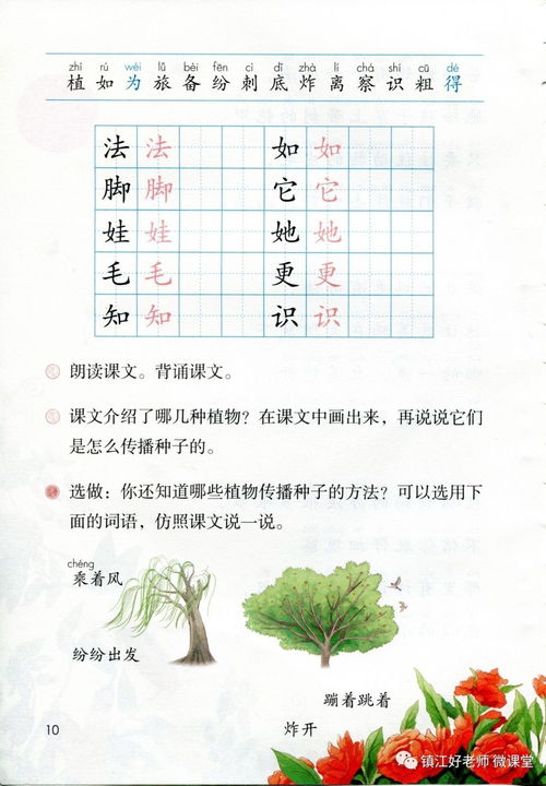 植物妈妈有办法课文原文
