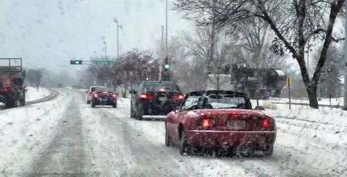 下雪汽车开多少码
