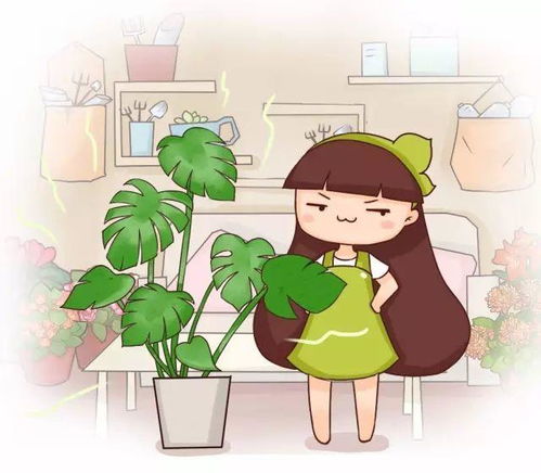 十种花简笔画