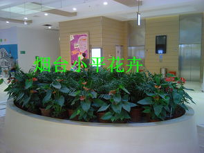 烟台鲜花批发