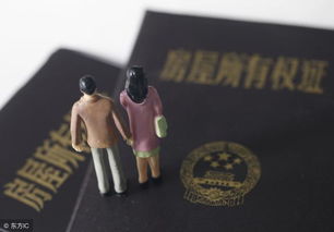 虚假房产证怎么处理