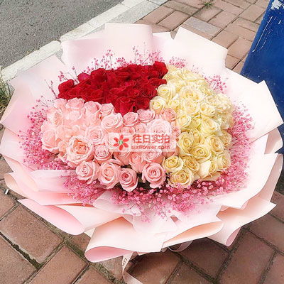 19朵玫瑰花多少钱一束