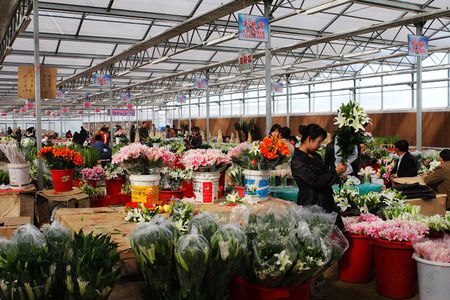 沈阳花卉批发市场