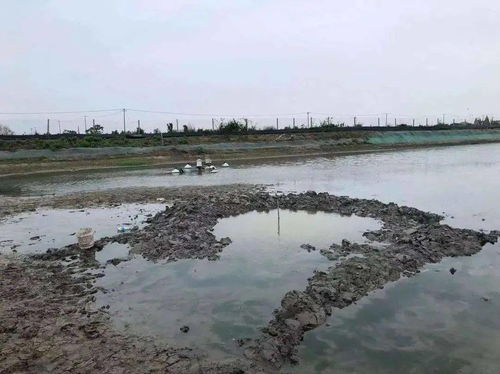 抄底老家房产怎么查不到 抄底老家房产怎么查不到