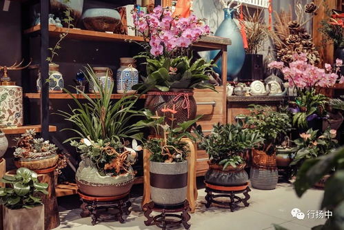 成都高新区花店送花