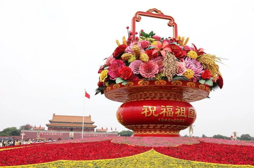 订花篮一般在什么平台
