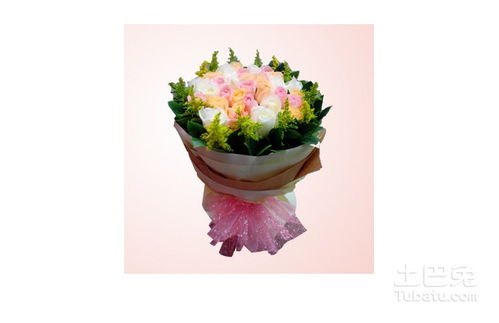 5朵香槟玫瑰花语和寓意