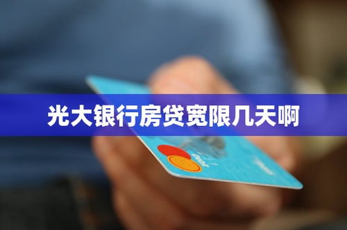 光大房产贷款怎么查