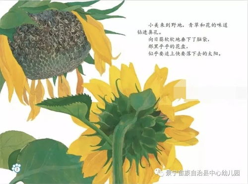 种子如何传播