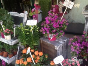 小县城开花店赚钱吗