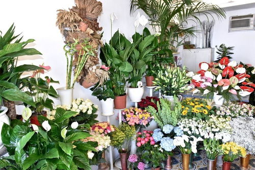 花店名称