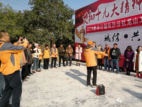 集体游戏互动游戏有哪些