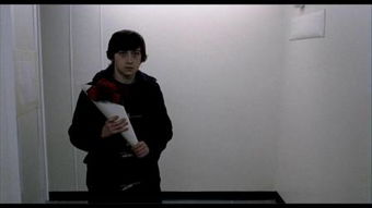 看望病人送什么花最合适男