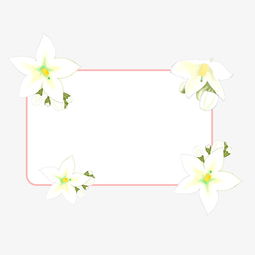 茉莉花图片手绘