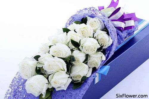 3朵白玫瑰花语是什么意思