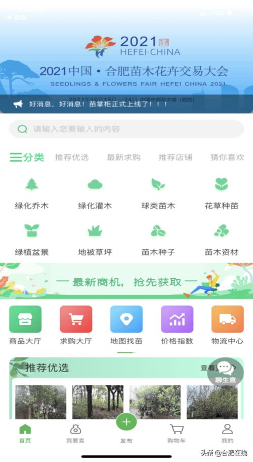 今日苗木网app