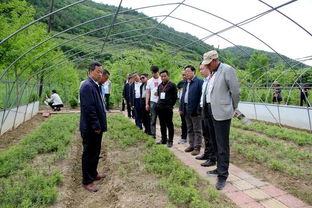 国内最权威的苗木网站