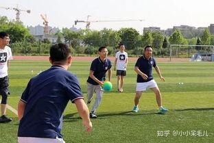 球体团建游戏有哪些游戏