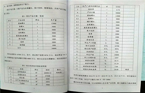 房产保价风险分析怎么写