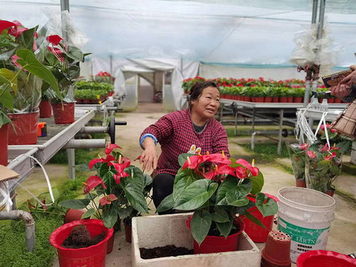 附近的鲜花市场