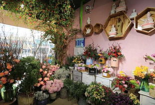 河北石家庄花店