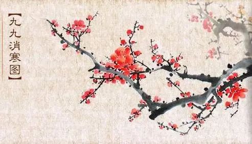梅花代表着什么象征意义
