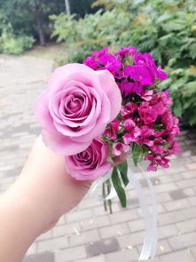 紫玫瑰茶花