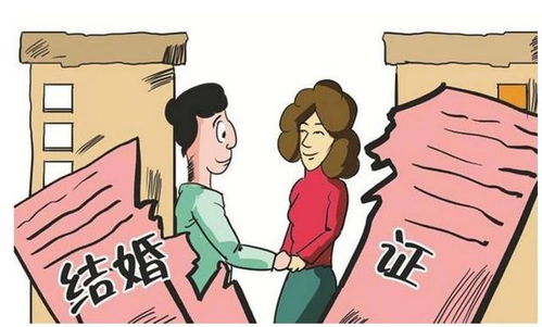 怎么查夫妻房产各占多少