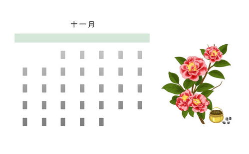 12个月对应的花