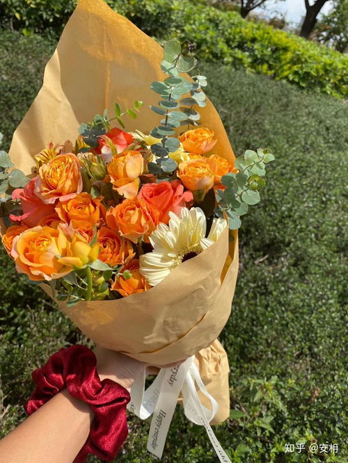 非洲菊花束