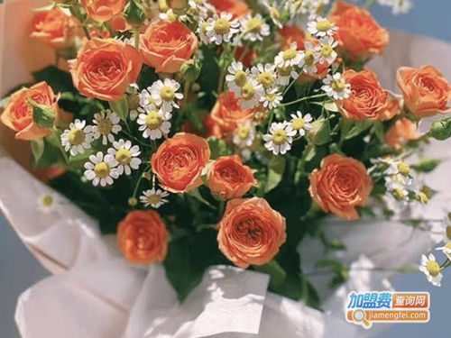 花仙女品牌鲜花加盟