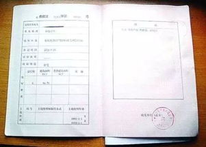 夏邑房产证怎么查