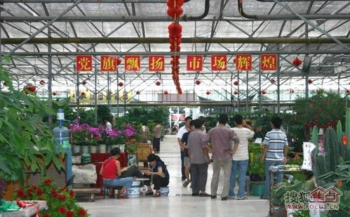 附近哪有花卉市场 附近哪有花卉市场