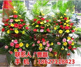 花篮开业多少钱一对