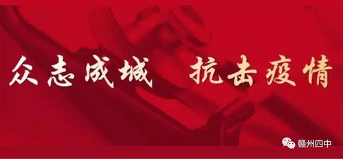 三八妇女节送老师什么花合适