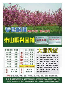 花木网站