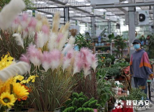 西安鲜花批发怎么找货源