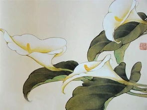 制作网站用到花卉素材