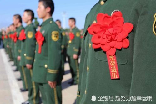 退伍军人送花瓶的故事