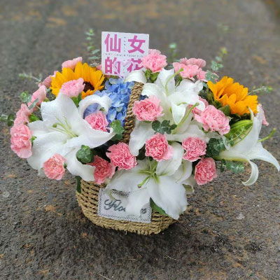3朵粉色康乃馨花语
