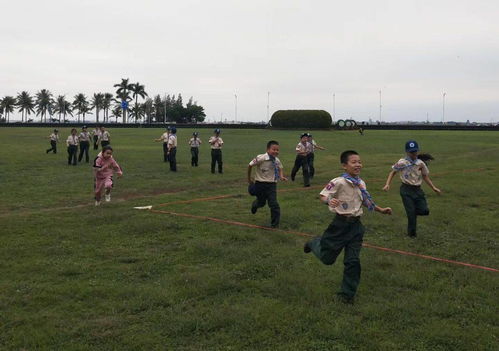 棒球游戏户外游戏有哪些