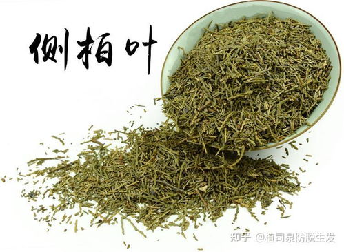 侧柏叶生发