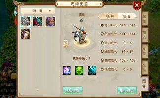 击剑养成游戏有哪些游戏