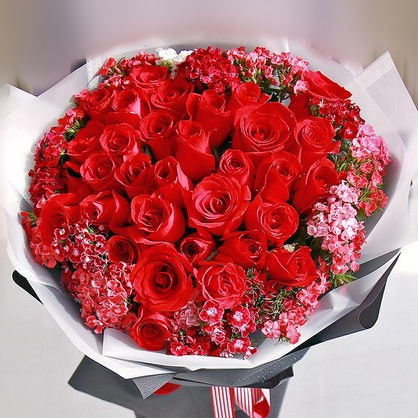 33朵玫瑰花代表的含义
