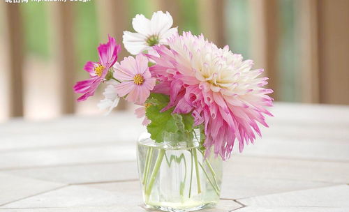 鲜花插花图片大全