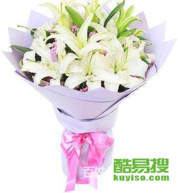 白色勿忘我的花语是什么