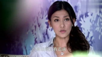 木槿昔年