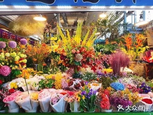 北京的花卉市场都有哪些