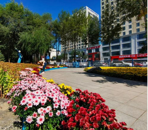 西宁二十里铺花卉市场