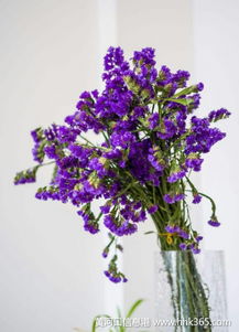 东营鲜花批发